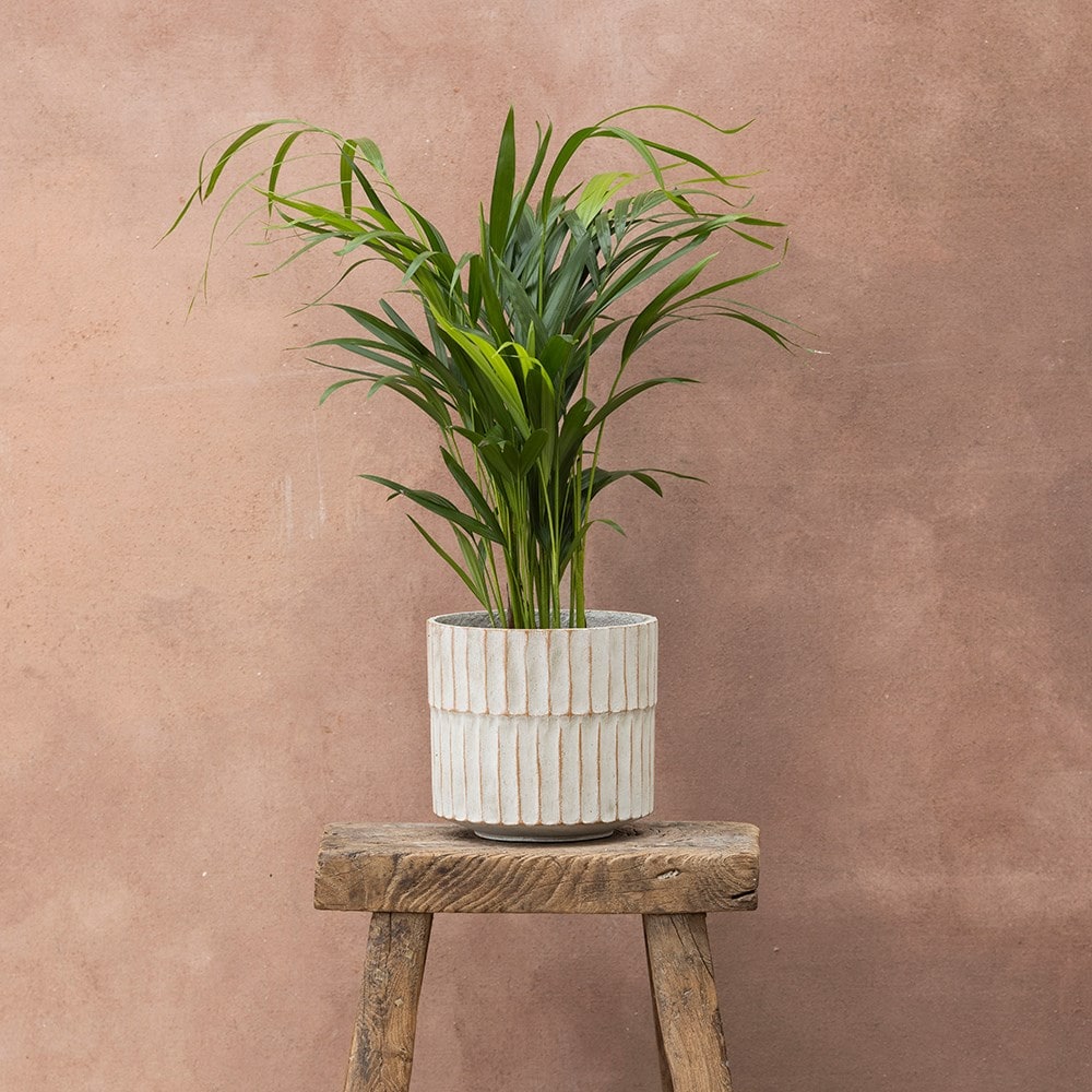 Rustic ribbed plant pot - off white