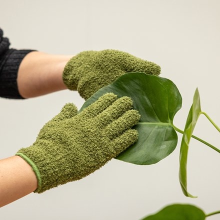 Houseplant dust remover gloves