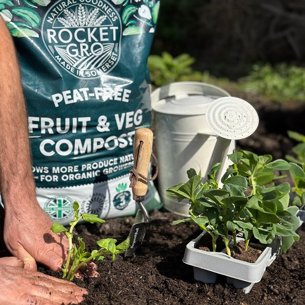 RocketGro fruit and veg compost