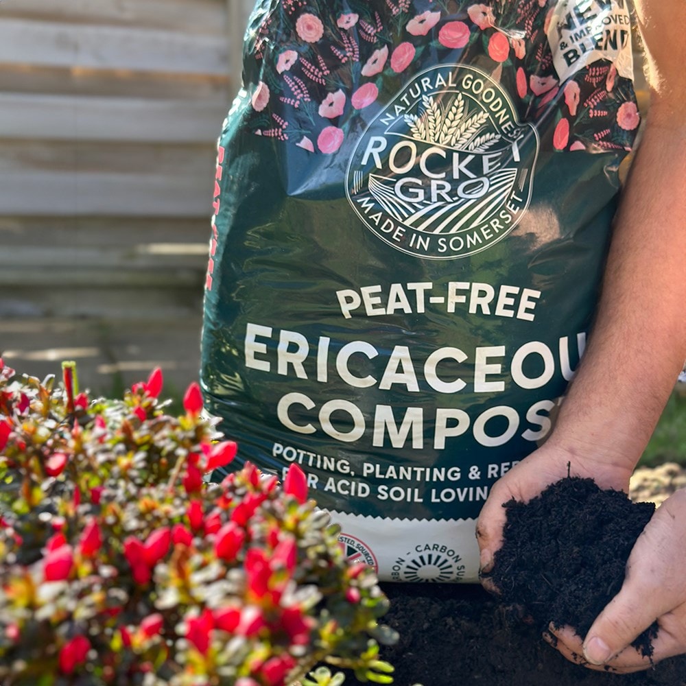 RocketGro ericaceous compost