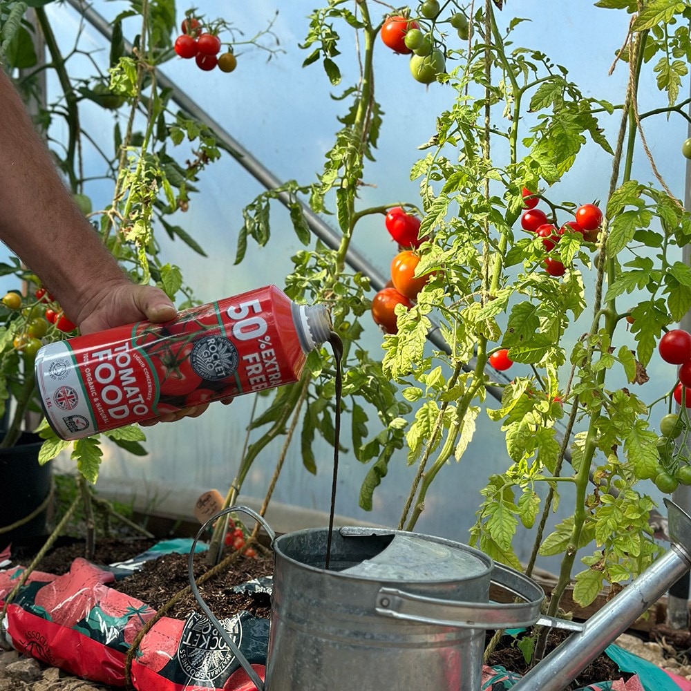 Organic liquid tomato feed