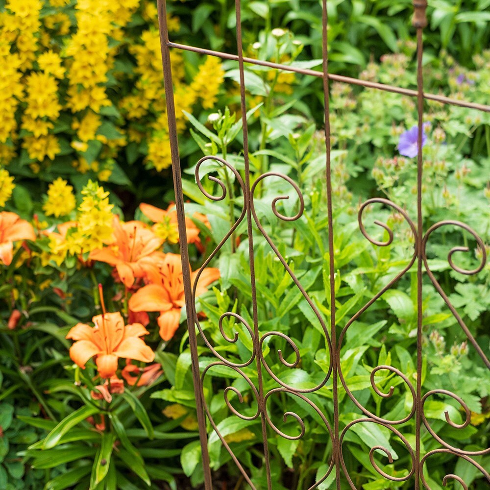Fleur-de-lys trellis plant support - rust