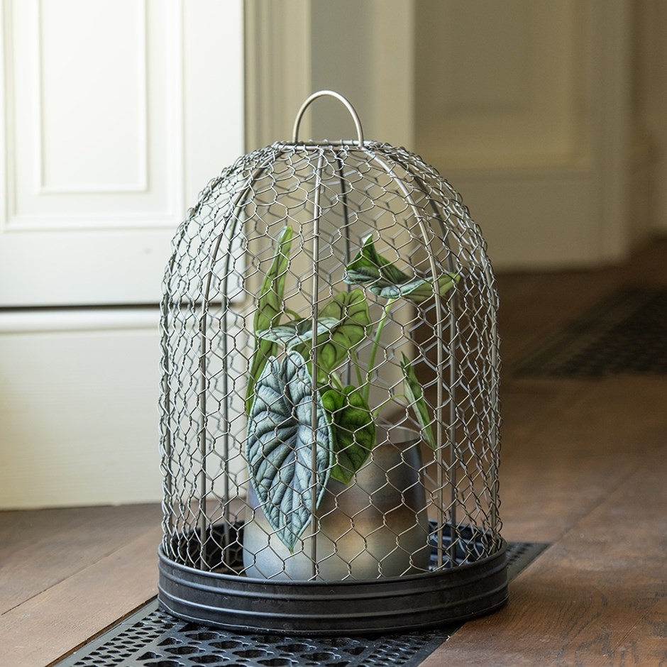 Bird cage cloche and tray Bird cage cloche and tray
