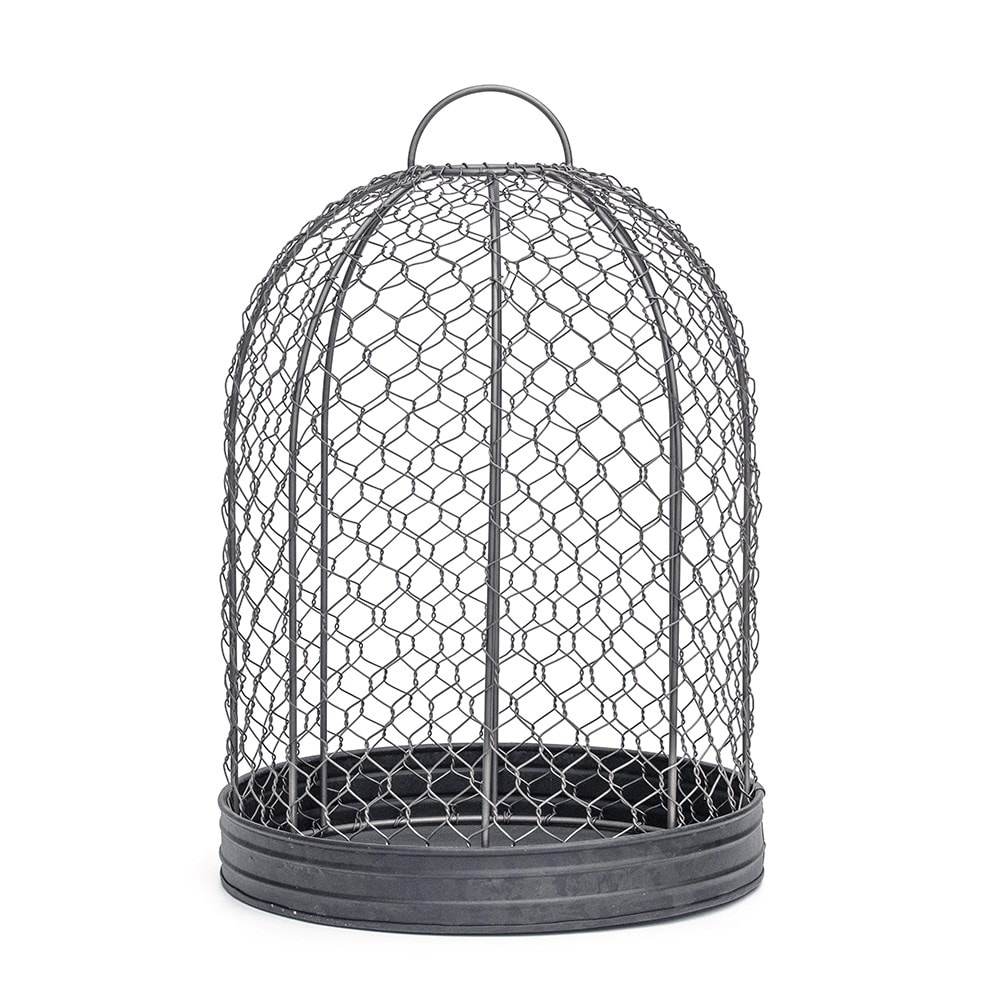 Bird cage cloche and tray Bird cage cloche and tray