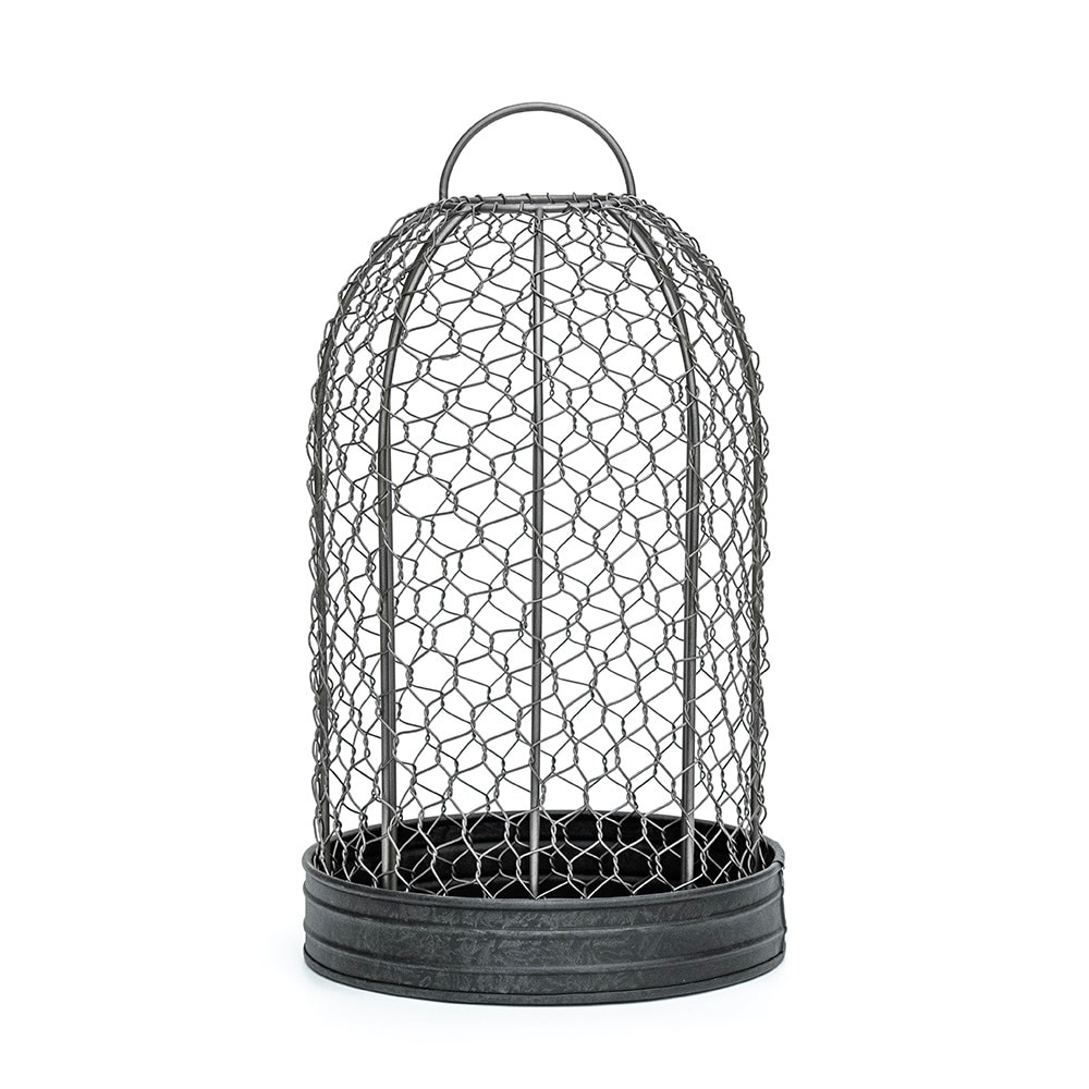 Bird cage cloche and tray Bird cage cloche and tray