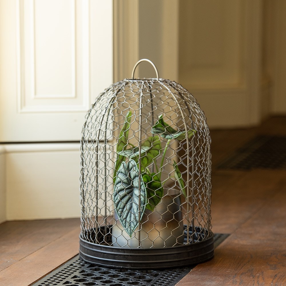 Bird cage cloche and tray Bird cage cloche and tray