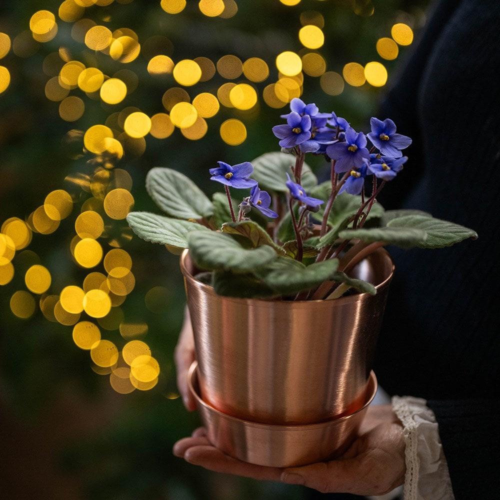 Brushed copper pot and tray Brushed copper pot and tray
