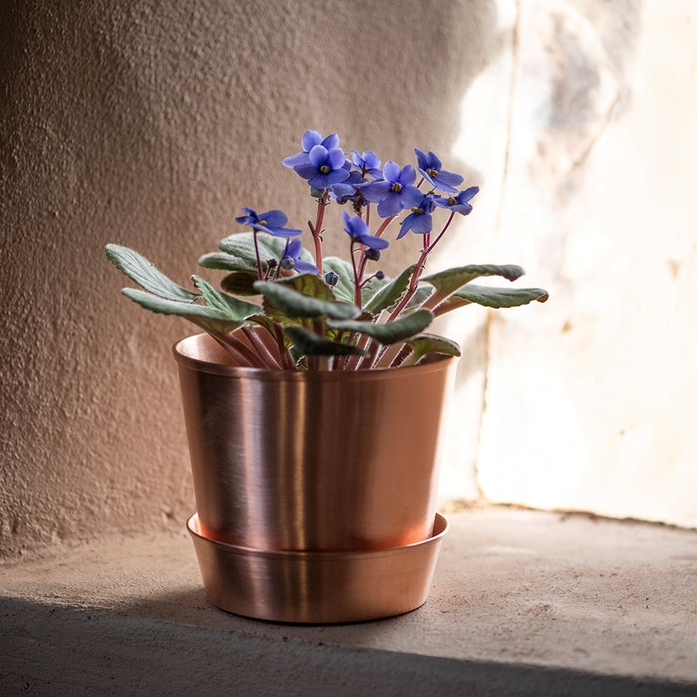 Brushed copper pot and tray Brushed copper pot and tray