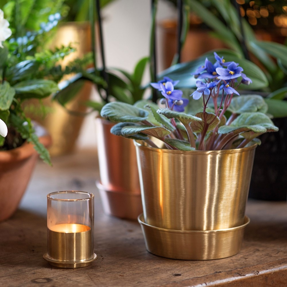 Brushed brass pot and tray Brushed brass pot and tray