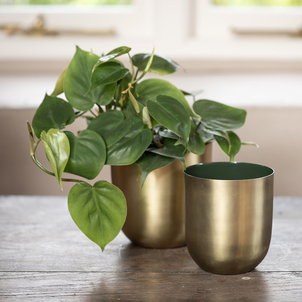 Brushed golden pot with enamel interior