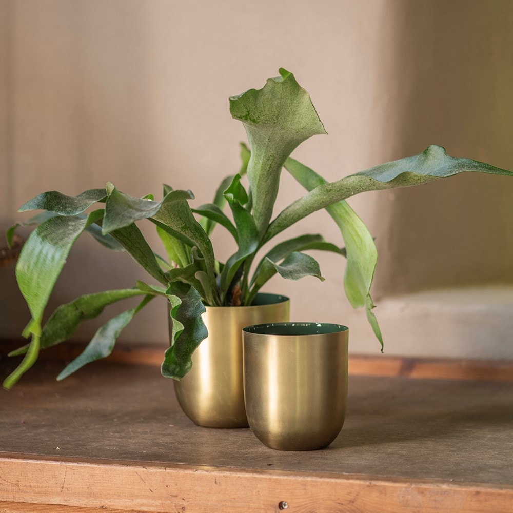 Brushed golden pot with enamel interior