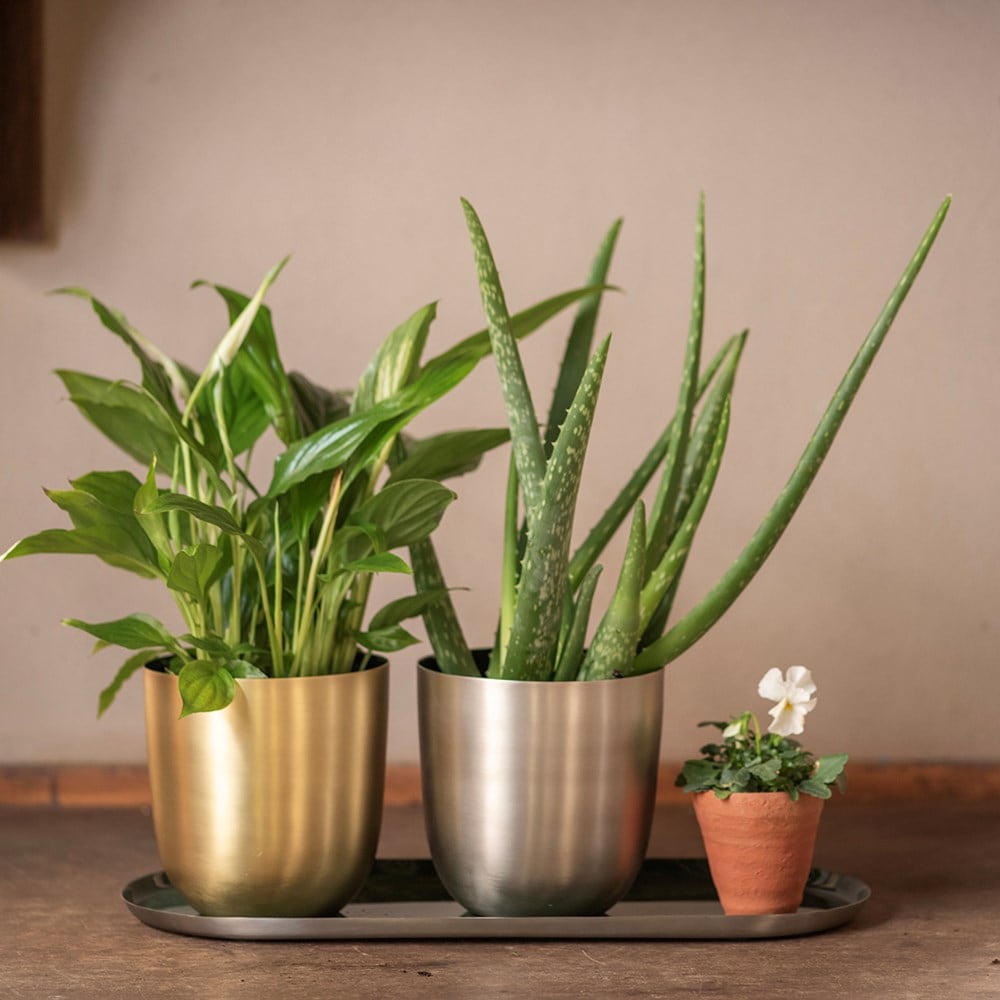 Brushed golden pot with enamel interior