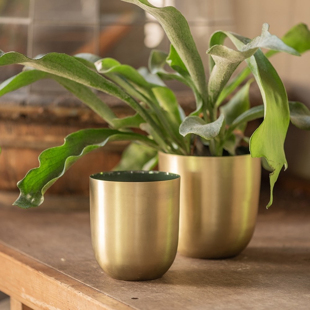 Brushed golden pot with enamel interior