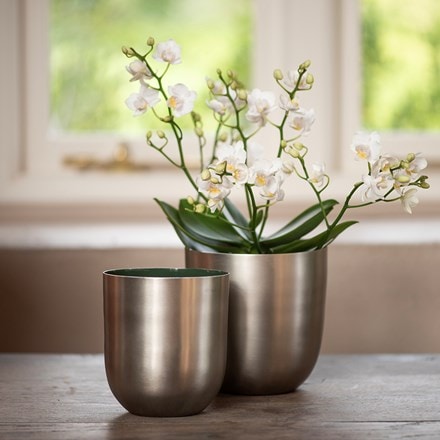 Brushed silver pot with enamel interior