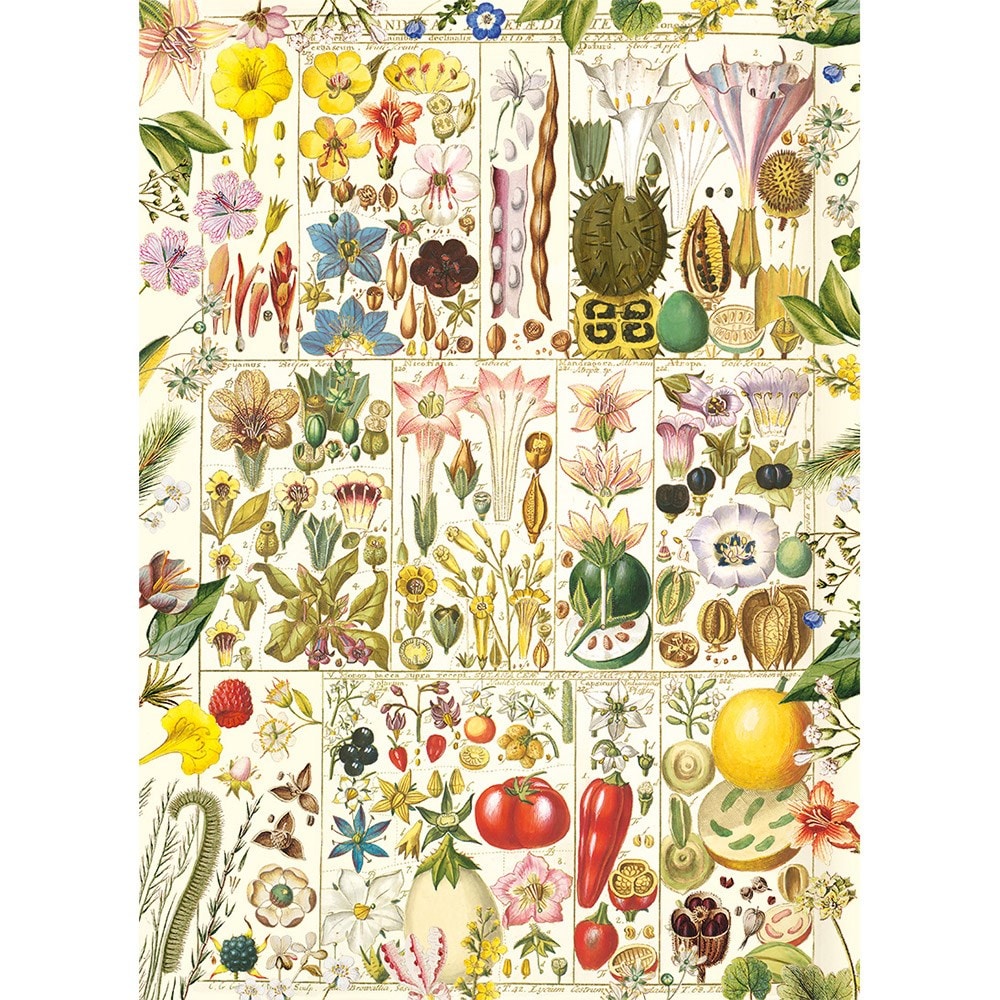 RHS Botanical Bliss jigsaw puzzle RHS Botanical Bliss jigsaw puzzle