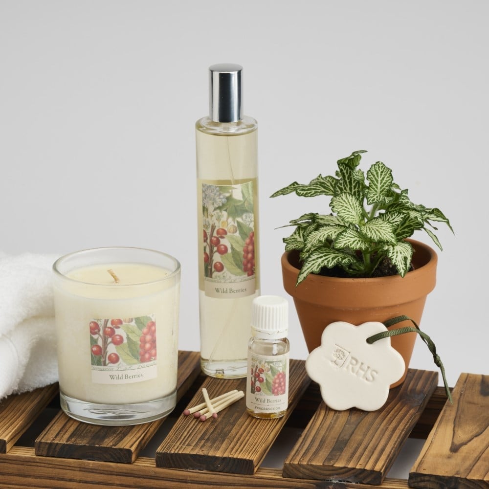 RHS Classic reed diffuser - wild berries