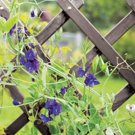 Heavy duty expanding trellis - grey