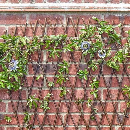 Heavy duty expanding fan trellis