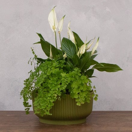Ribbed lightweight plastic plant bowl - fern green