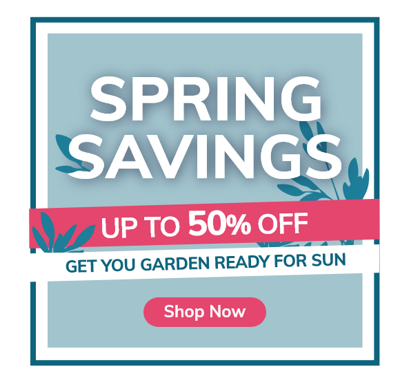 Spring Savings: Up to 50% off