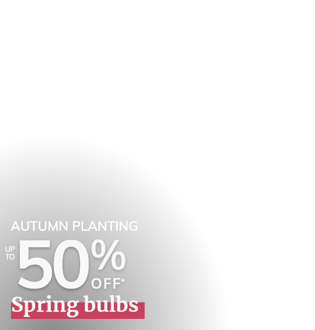 Autumn Bulbs Sale