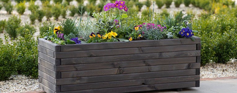 How to plant bedding plants in pots