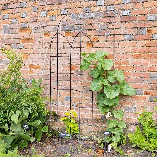 Offset Spires Black Metal Trellis