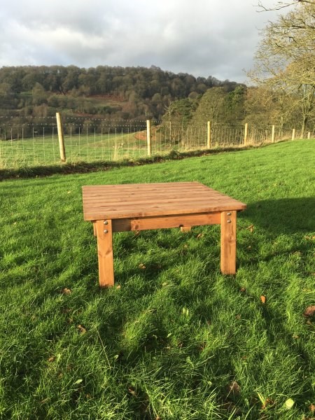 Deluxe Coffee Table