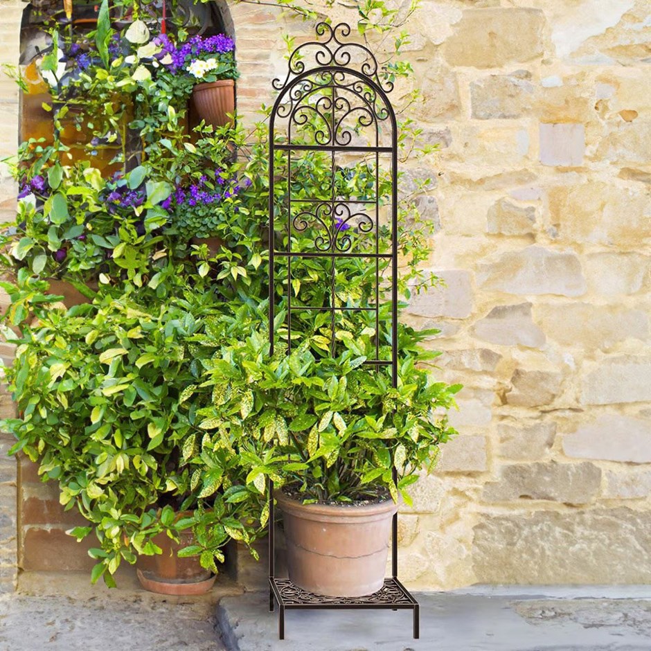 Rustic Italia Black Metal Pot Trellis
