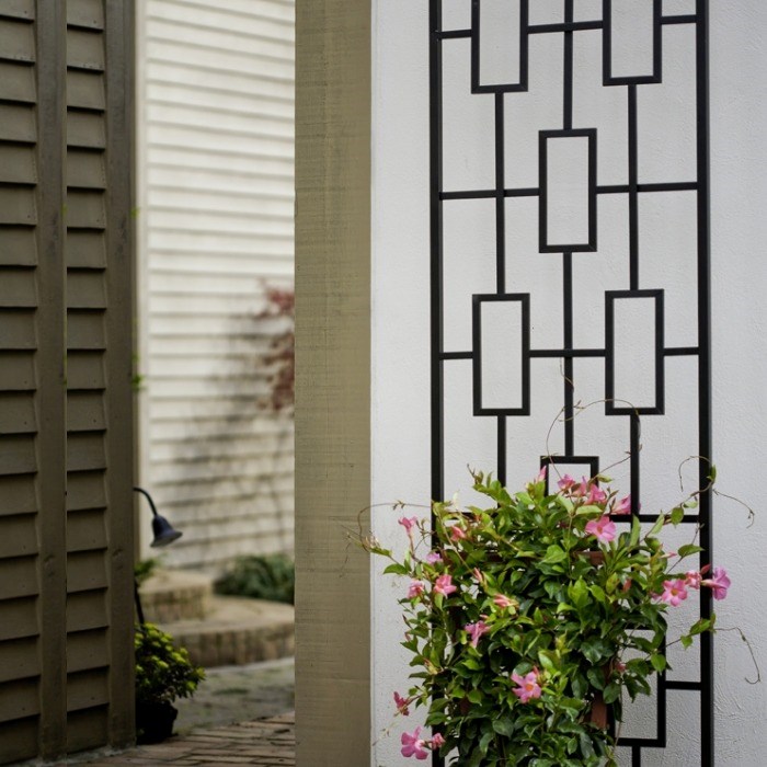 Contemporary Black Metal Trellis