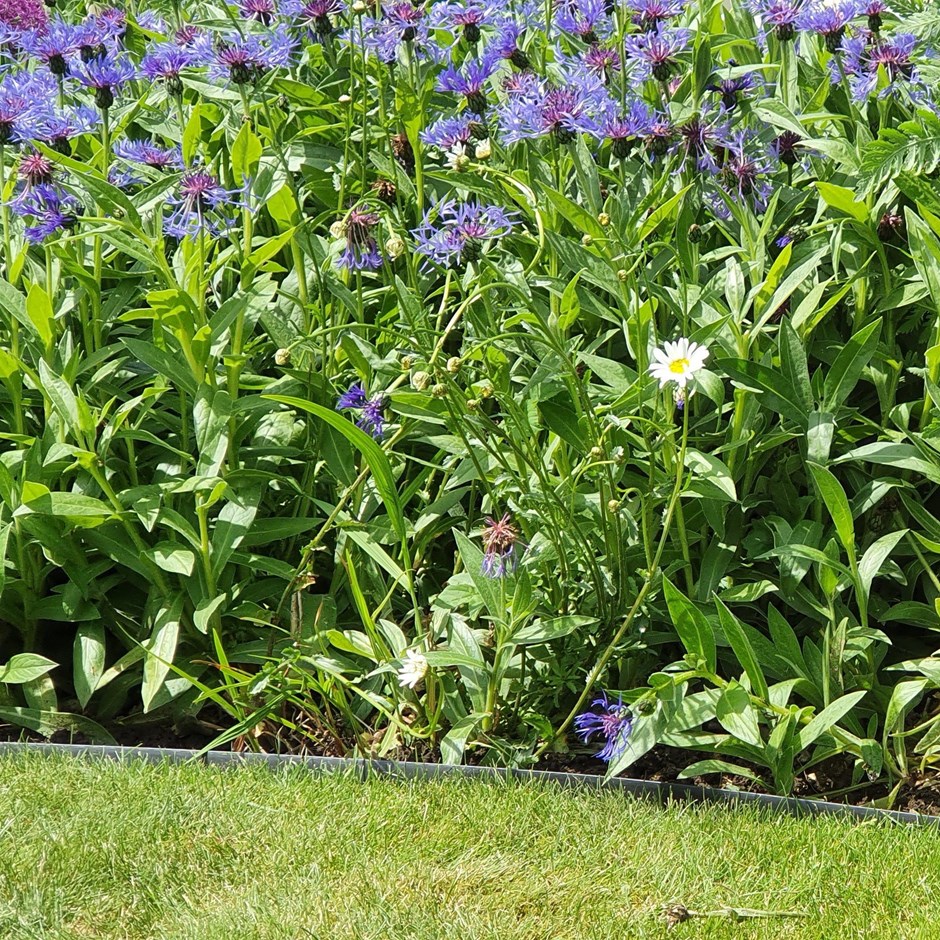 Tuffedge Black Flexible Garden Edging