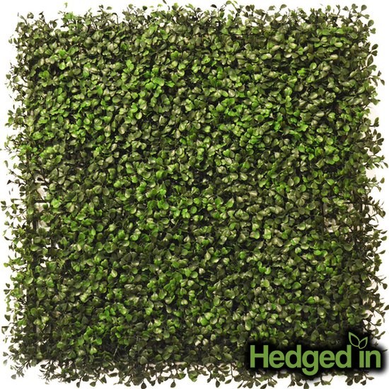 Dark Boxwood Artificial Hedge Screening Panel