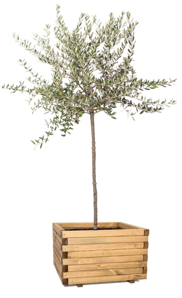 60cm Large Wooden Pine Raised Cube Planter