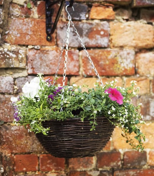 Rattan Hanging Basket