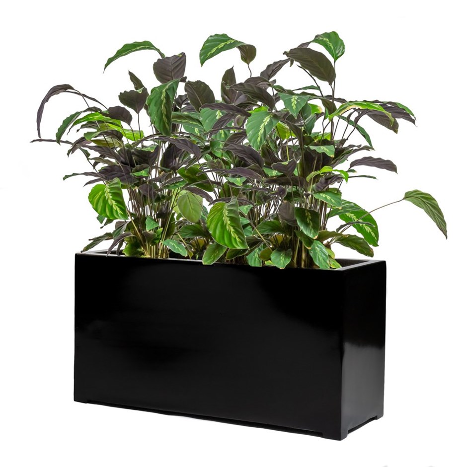Black Gloss Polystone Trough Planter