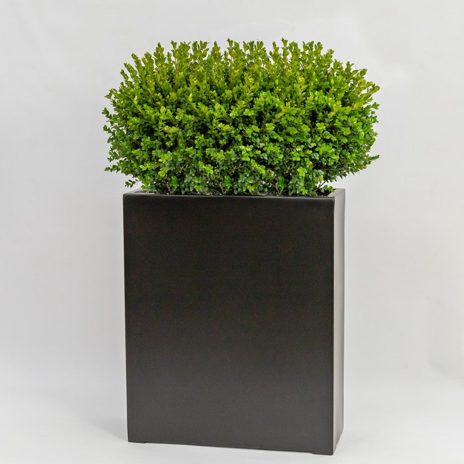 72cm Black Polystone Tall Trough Planter
