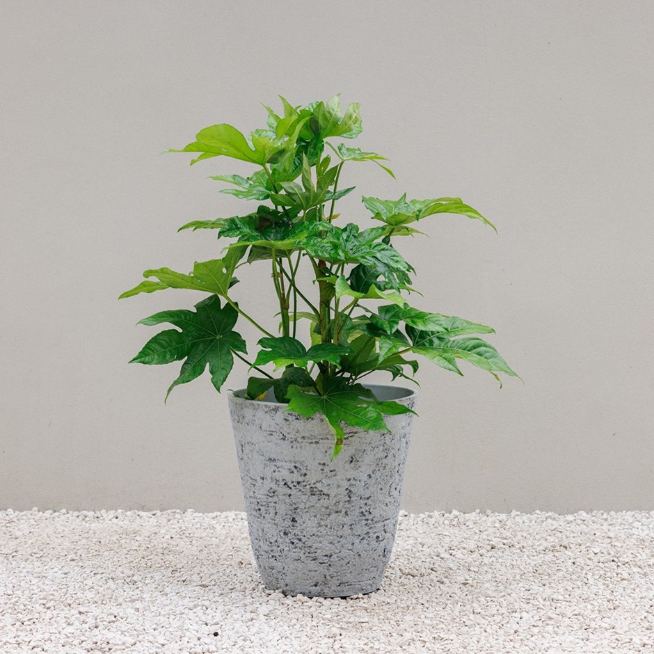 Textured Grey Stone Effect Tapered Round Planter