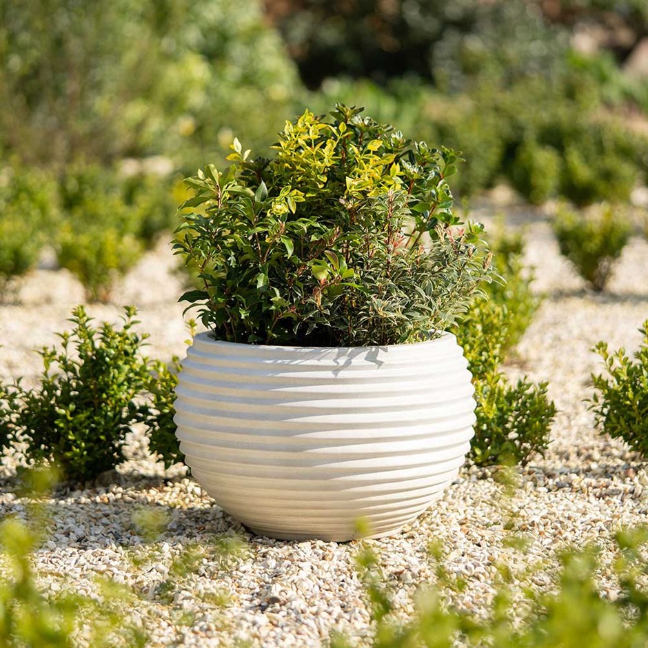Cream Ribbed Round Bowl Planter