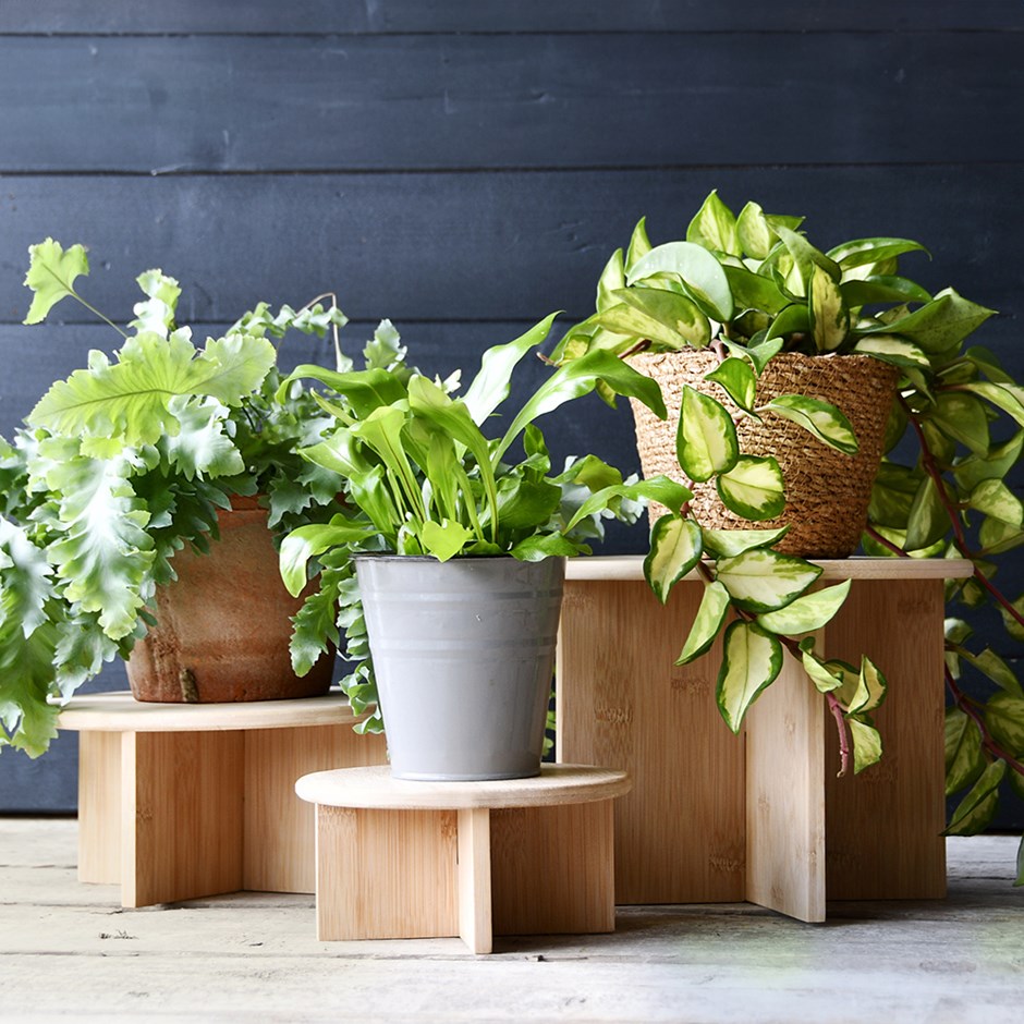 Bamboo Plant Stand