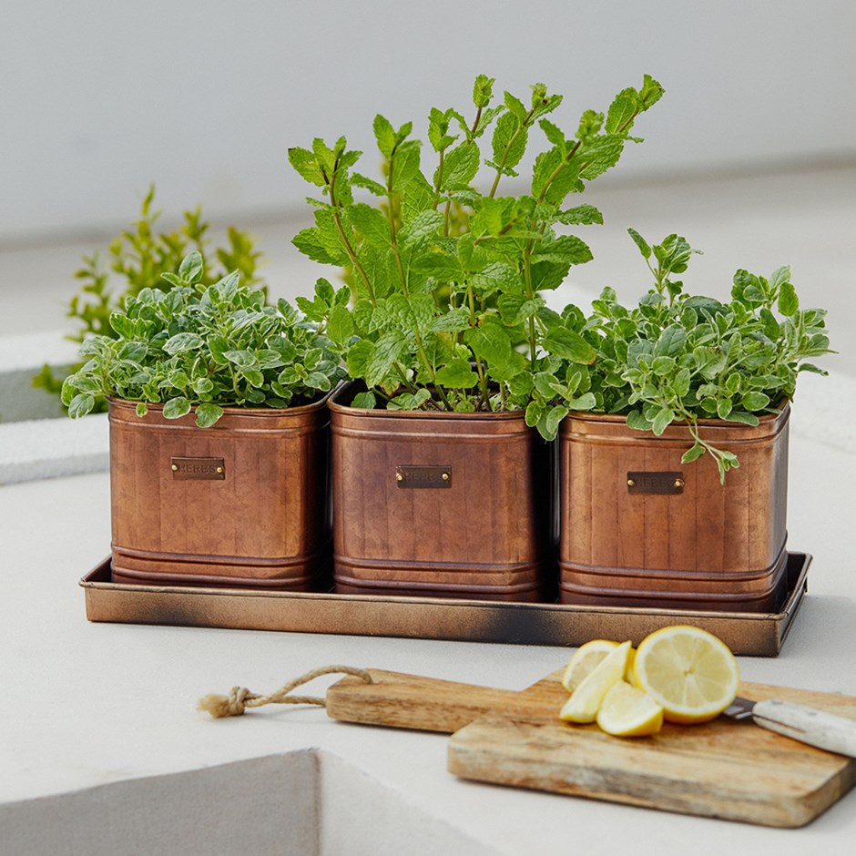 Copper Herb Planters With Tray