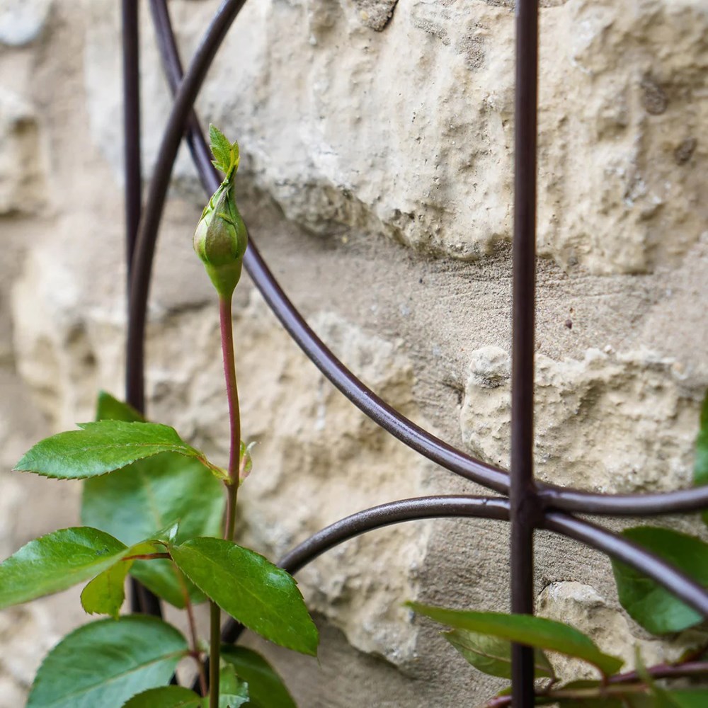Bronze Effect Metal Cylinder Trellis