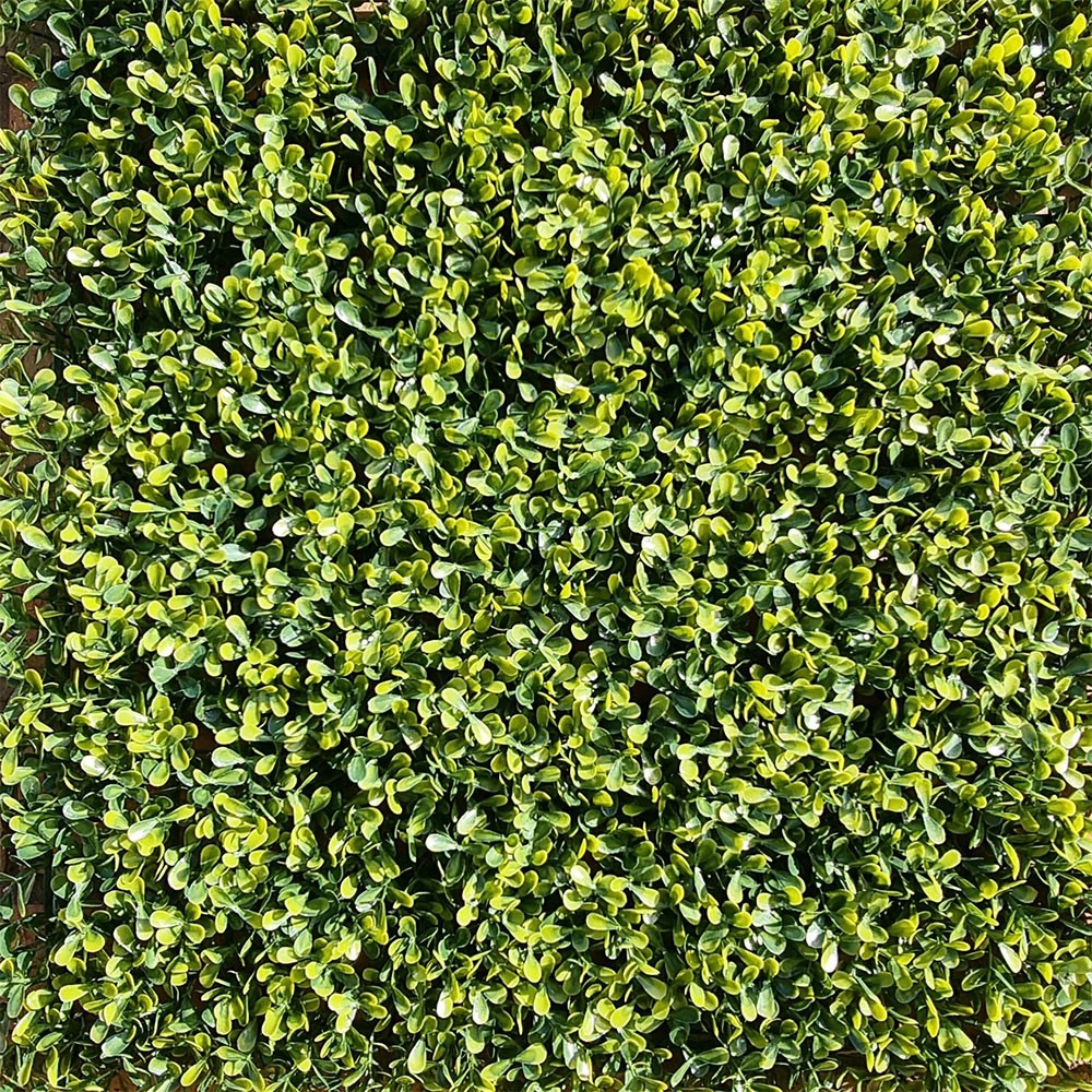 Light Boxwood Artificial Hedge Screening Panel