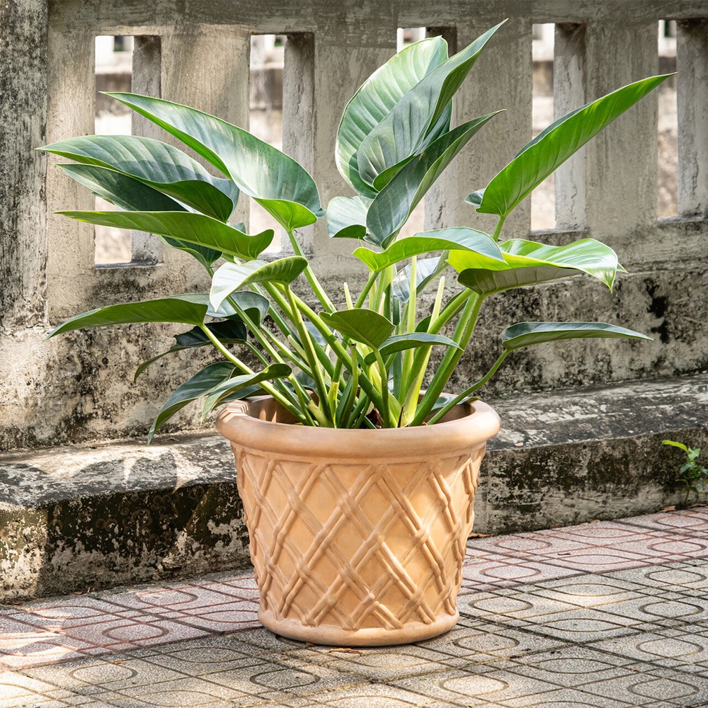 Riga Terracotta Concrete Lattice Round Planter