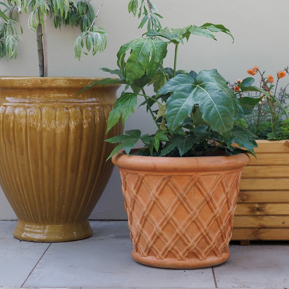 Riga Terracotta Concrete Lattice Round Planter