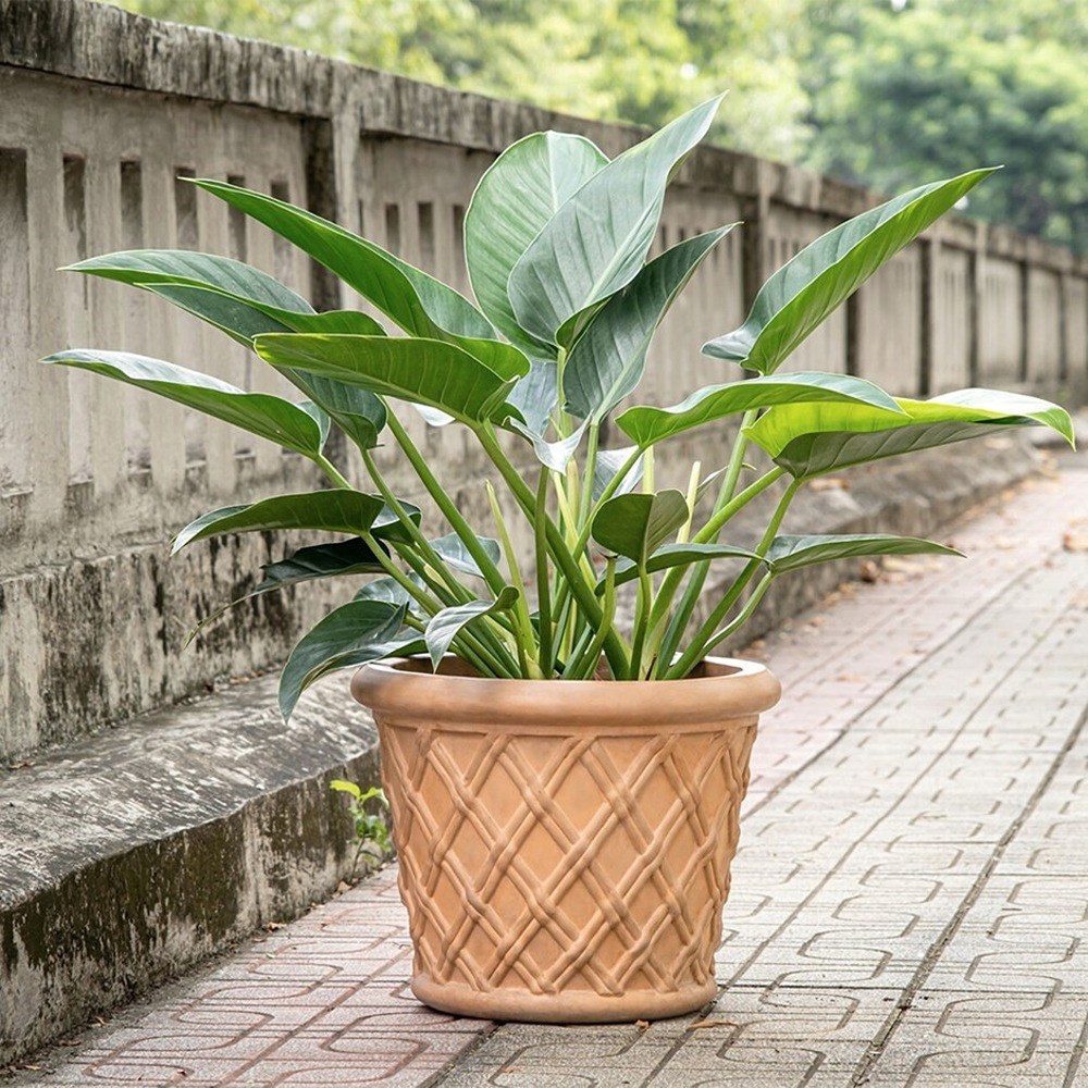 Riga Terracotta Concrete Lattice Round Planter