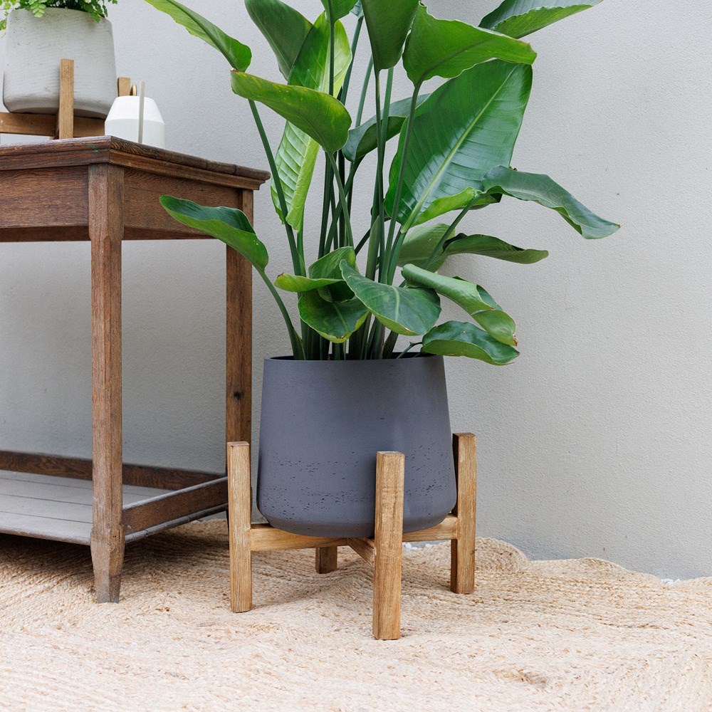 Textured Concrete Round Indoor Planter With Wooden Stand