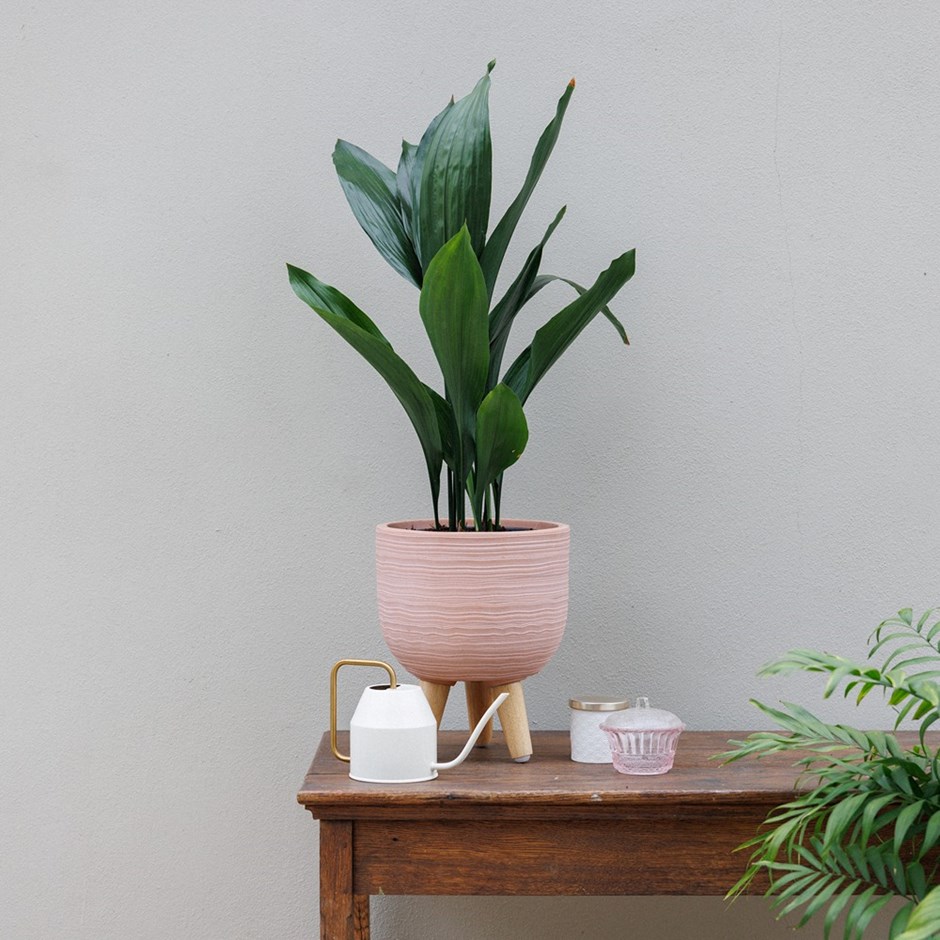 Pink Textured Round Indoor Planter With Legs