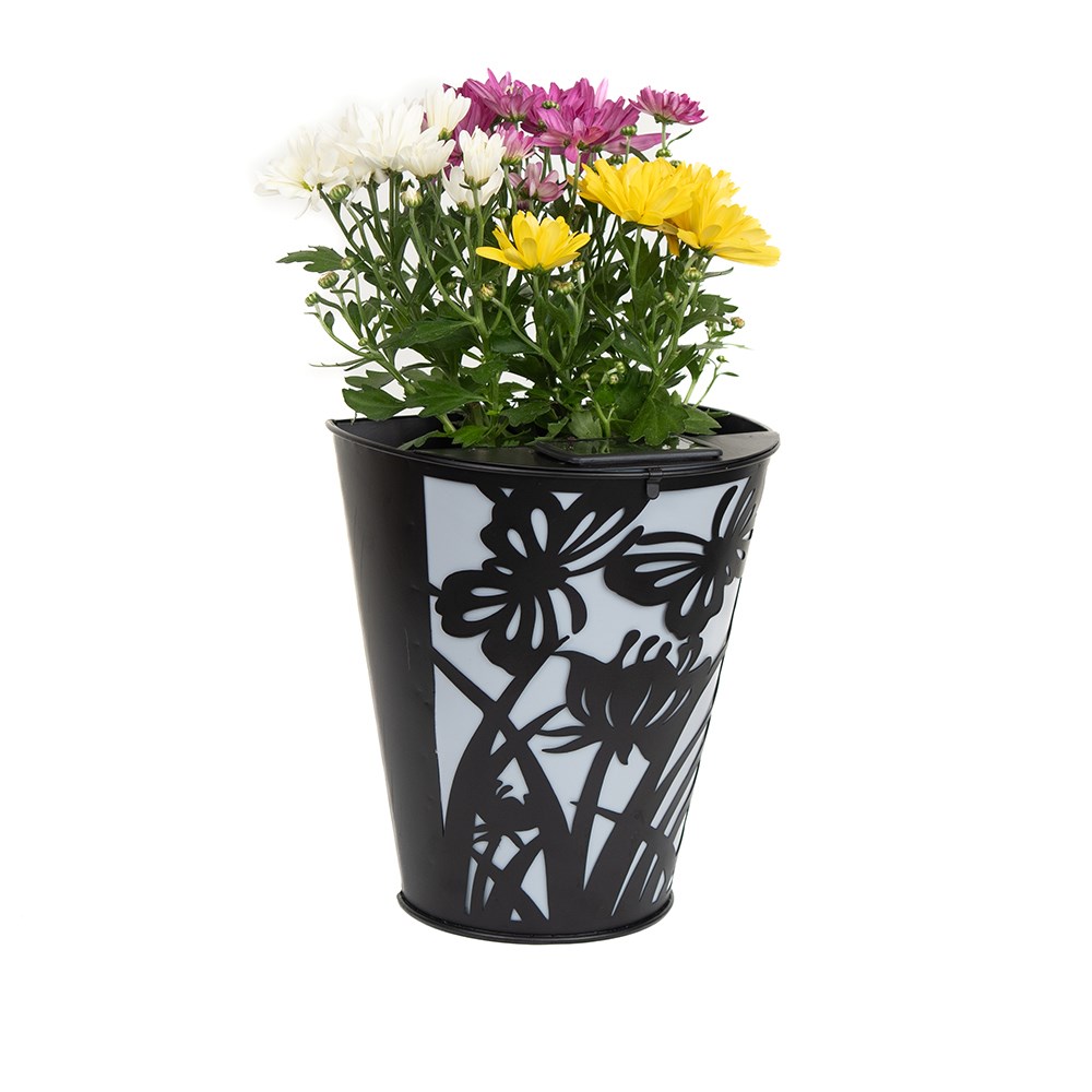 Butterfly Solar Wall Pot Light (Set of 2)