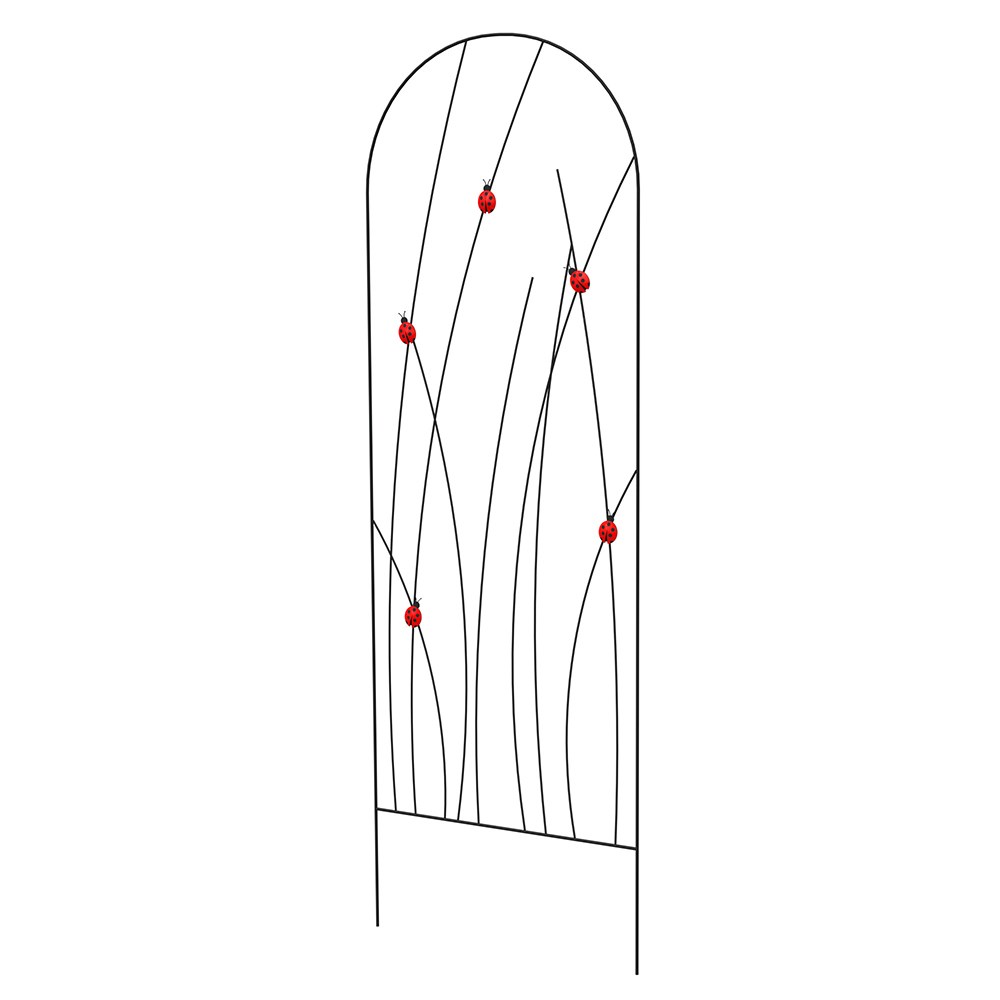 Ladybird Black Metal Trellis