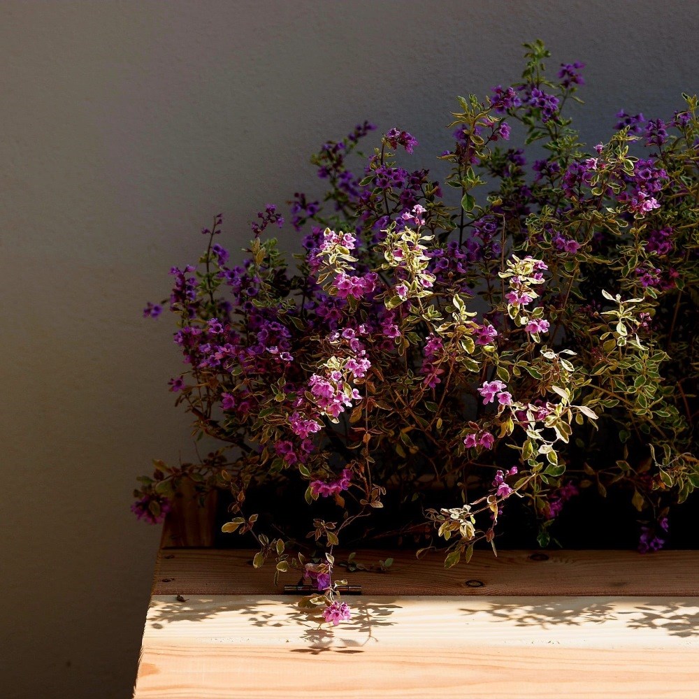 The Smarter Storage Planter